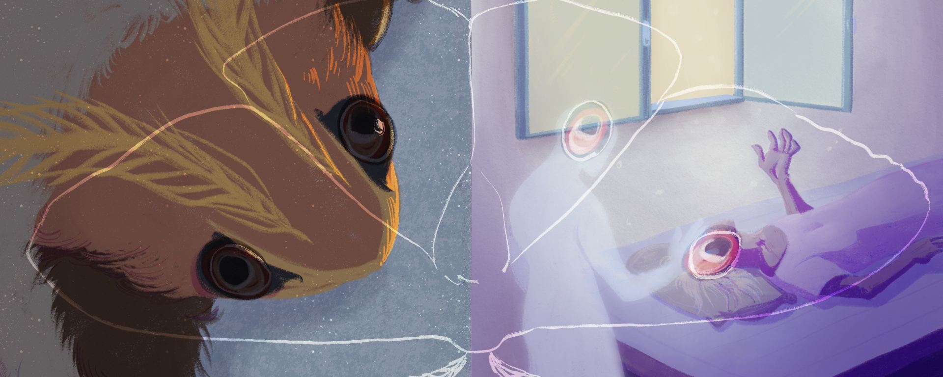 Saturnia Pyri – Specularia, image size:1920x768